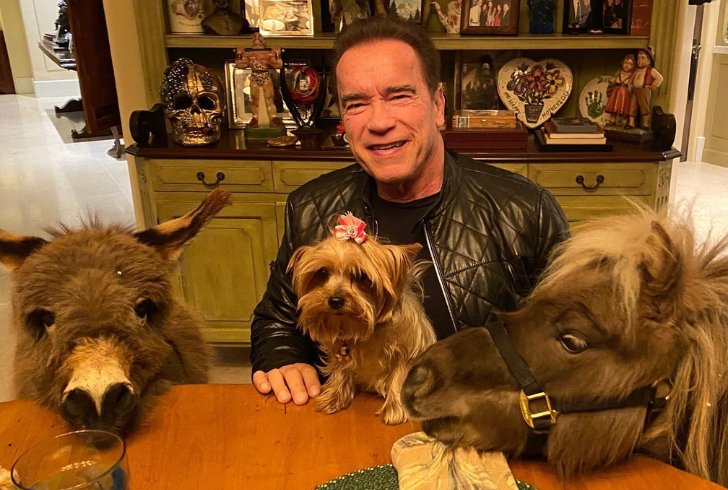 Arnold Schwarzenegger's pets bring immense joy to his life, showcasing the depth of his affection for animals.