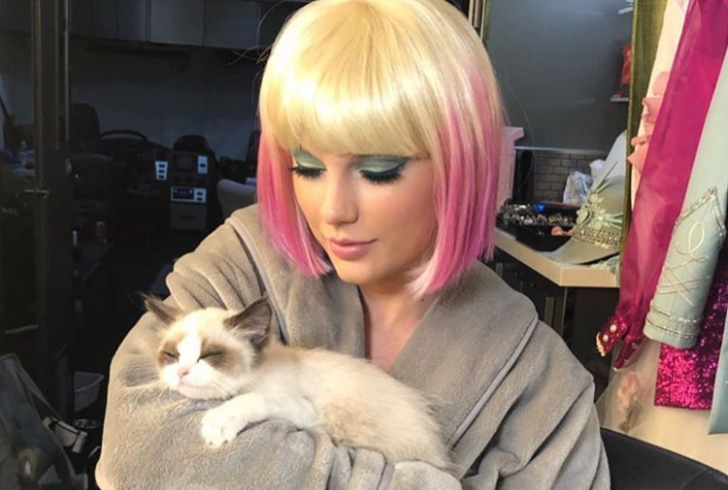 celebrities who have cats - Taylor Swift