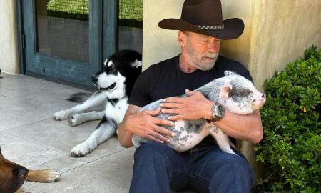 Inside Arnold Schwarzenegger's Pets Paradise.