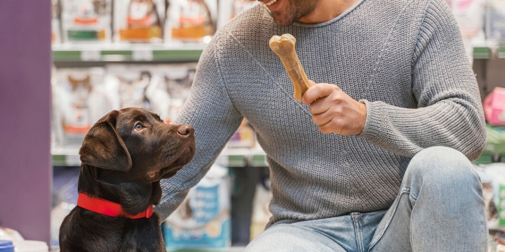 Best Dog Treats Options for Your Furry Friend