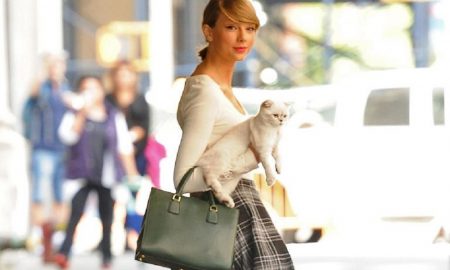 Meredith Grey and her furry siblings stole Taylor Swift's heart.