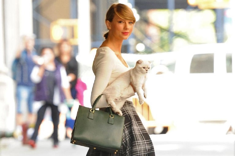 Meredith Grey and her furry siblings stole Taylor Swift's heart.