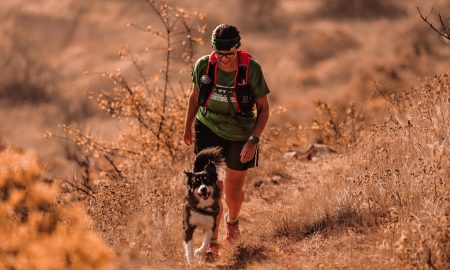 How to find dog friendly hiking trails.